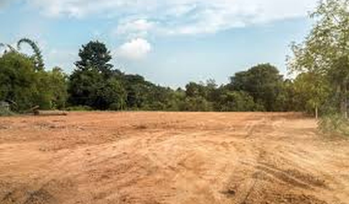 Graded homesite with trees at edges (sample deal)
