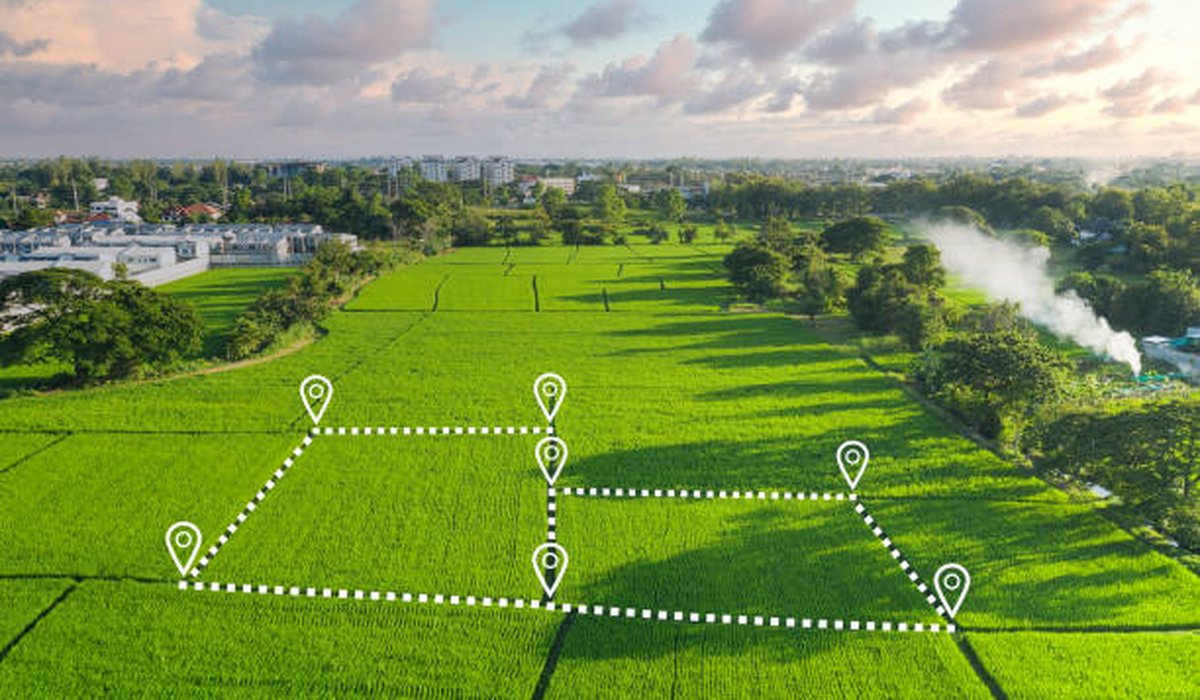 Green fields with outlined parcels (sample deal)